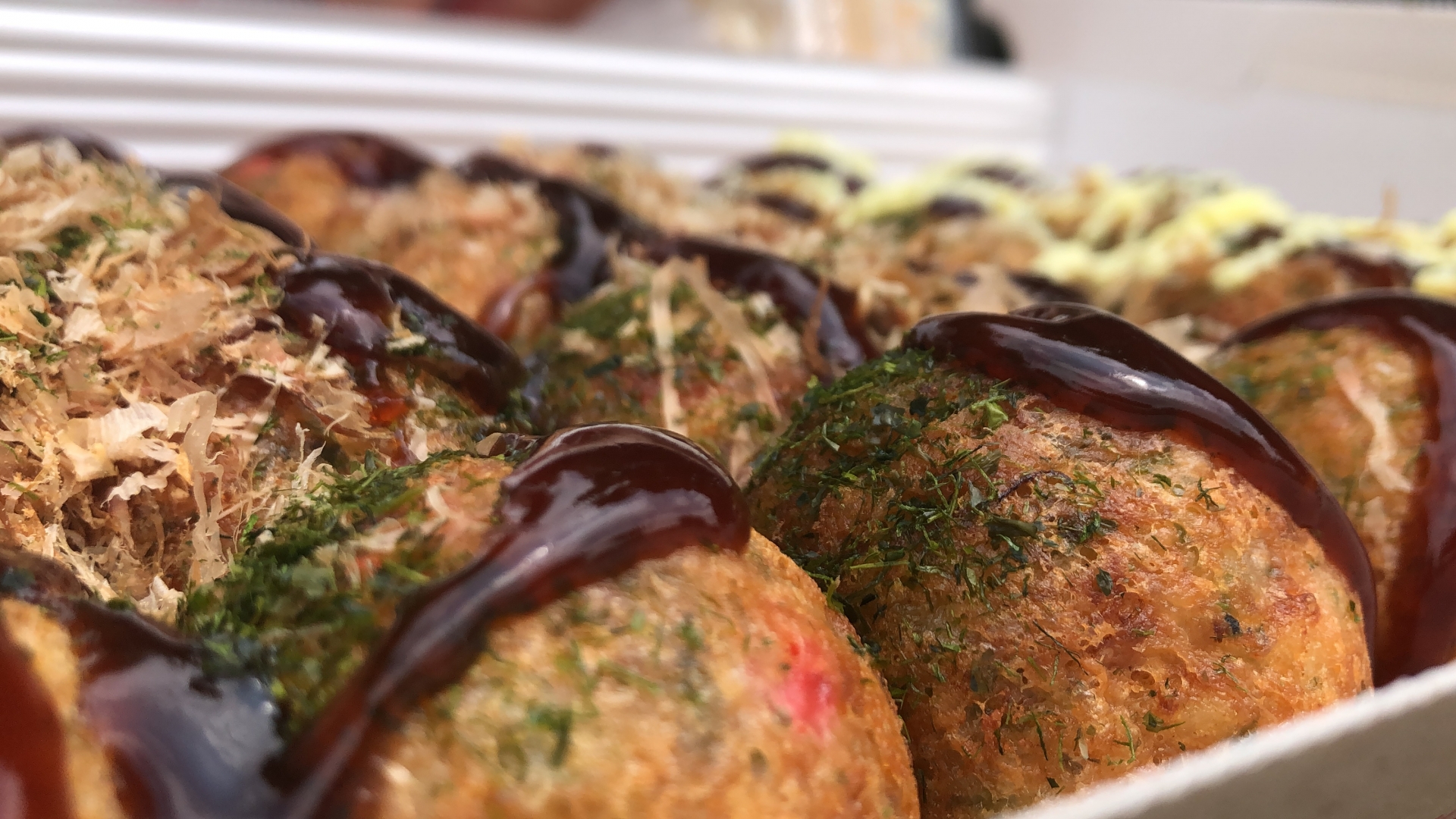 ホットランドホールディングスの優待案内の画像